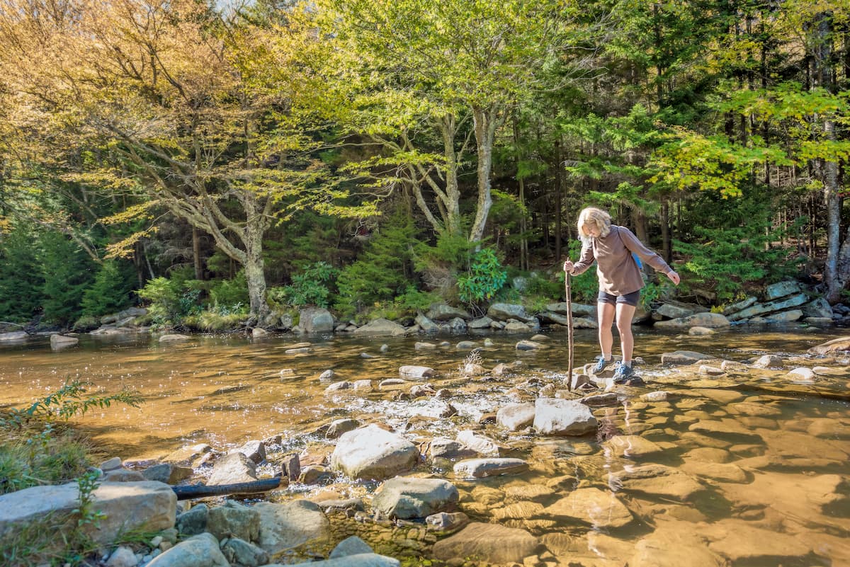 Red Creek Trailhead, Dolly Sods Wilderness 
